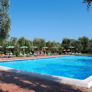 Villaggio Turistico Camping Parco Degli Ulivi